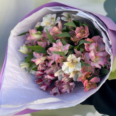 Нежный микс альстромерии 